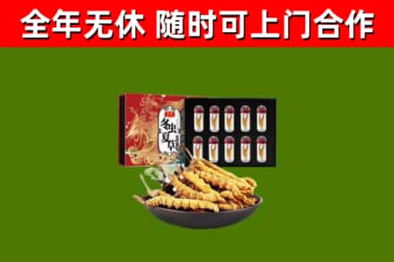 白朗县回收冬虫夏草价格